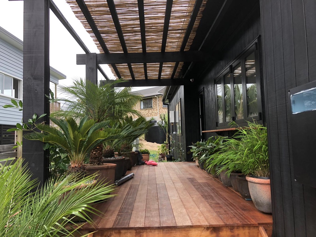 Black timber deck with pergola, potted cycads and bamboo lining a covered outdoor walkway