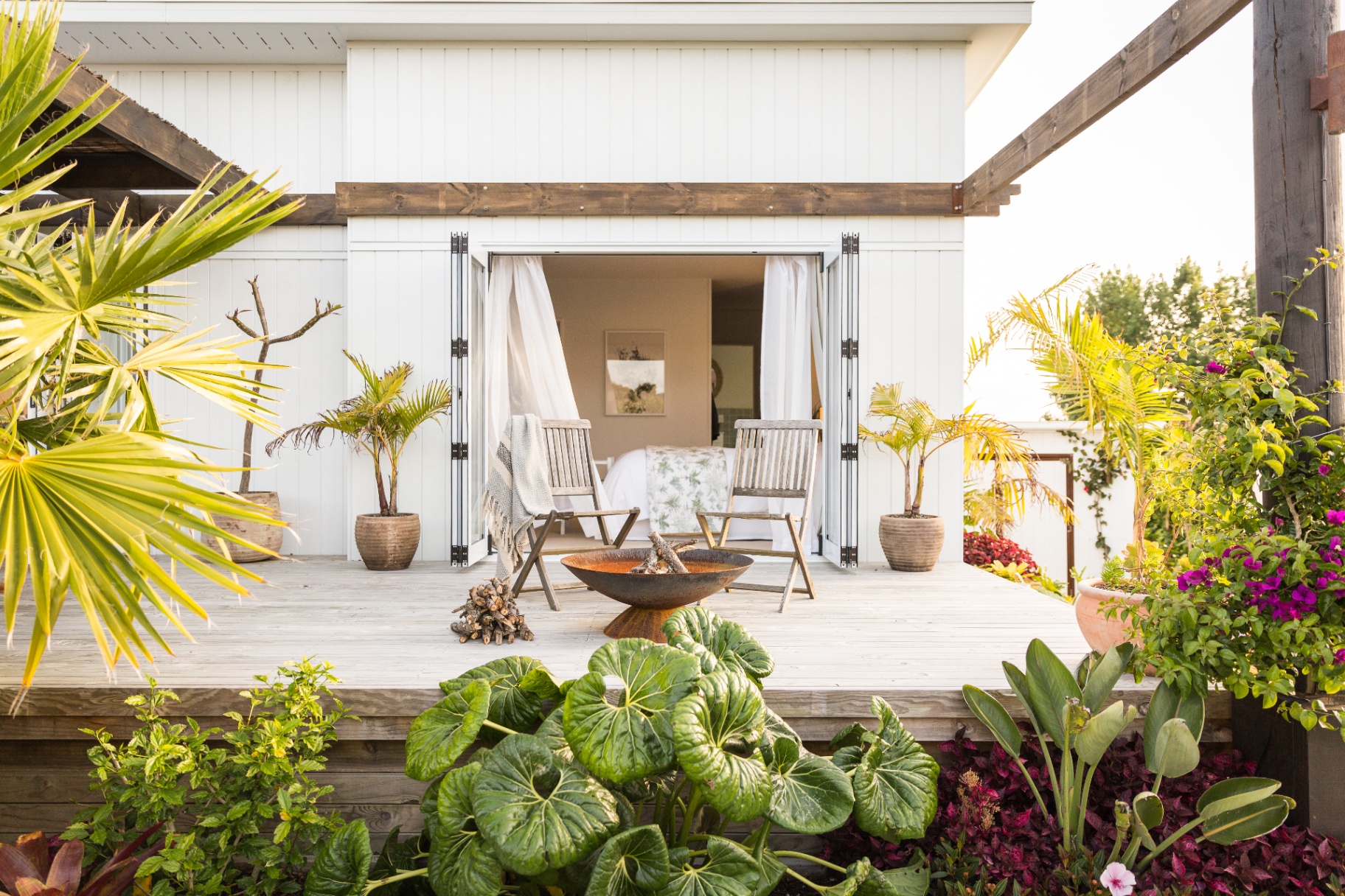 Coastal Auckland garden at golden hour with palms and ocean view